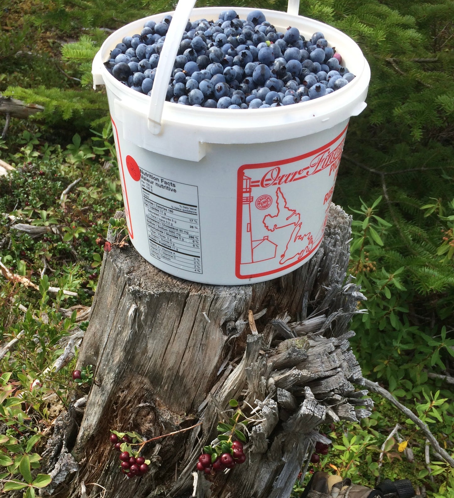 Skipper Joe’s Blueberry Jam 250ml