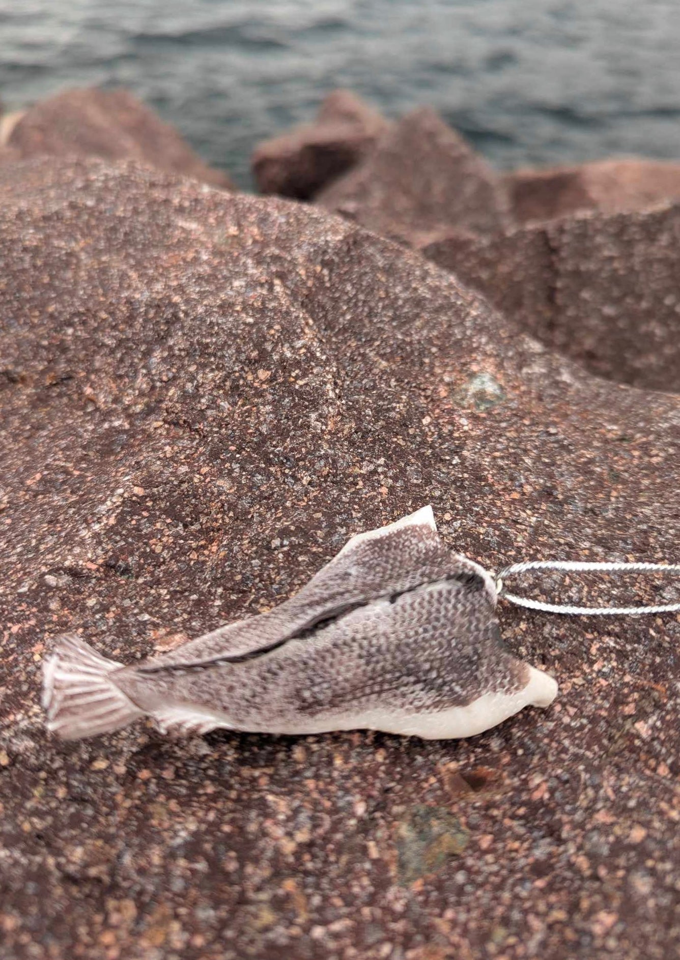 Salt Fish Ornament