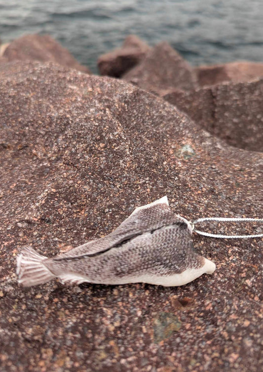 Salt Fish Ornament