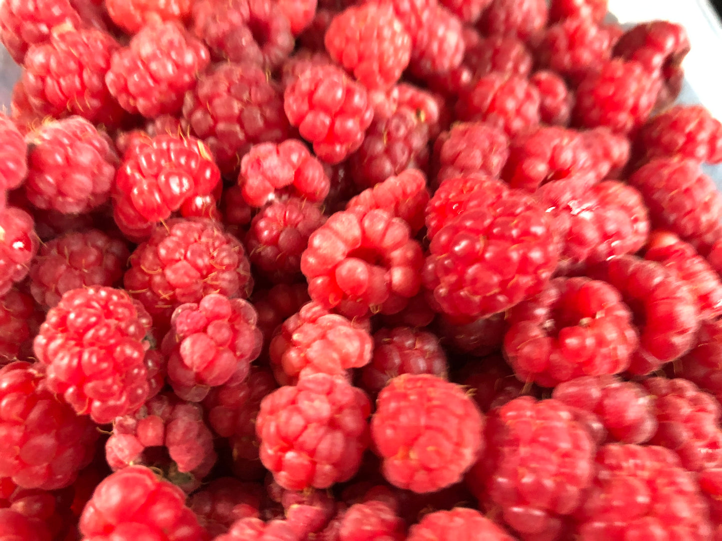 Skipper Joe’s Raspberry Jam 250ml