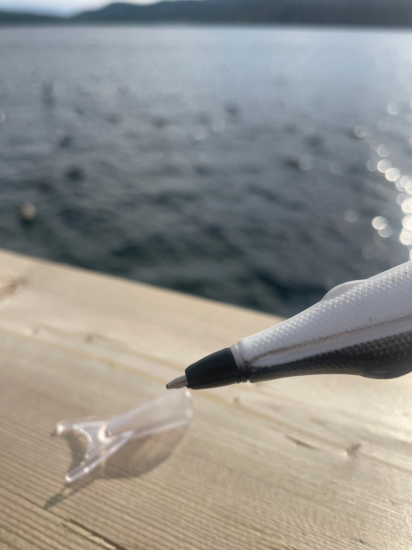 Caplin Writing Pen