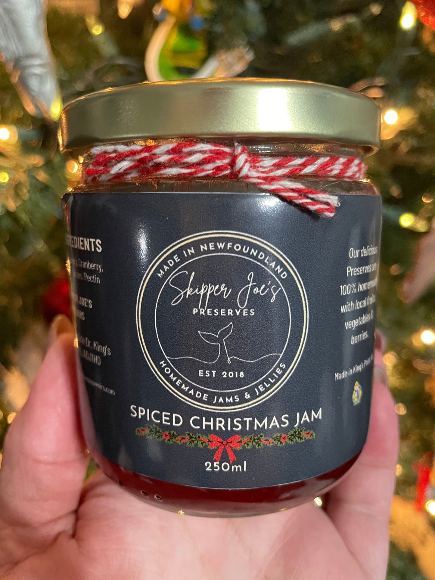 NEW Christmas Spice Jam 250ml