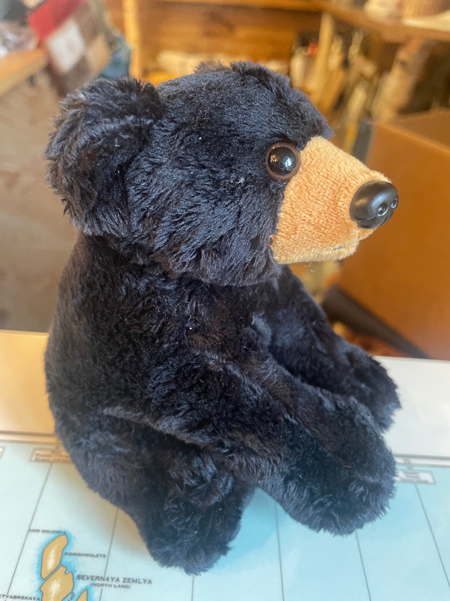 Audio Stuffed Animals