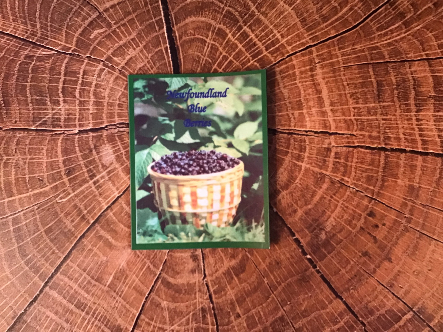 Newfoundland blueberry magnet