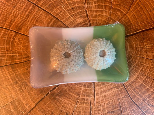 Kiln fused glass soap dish