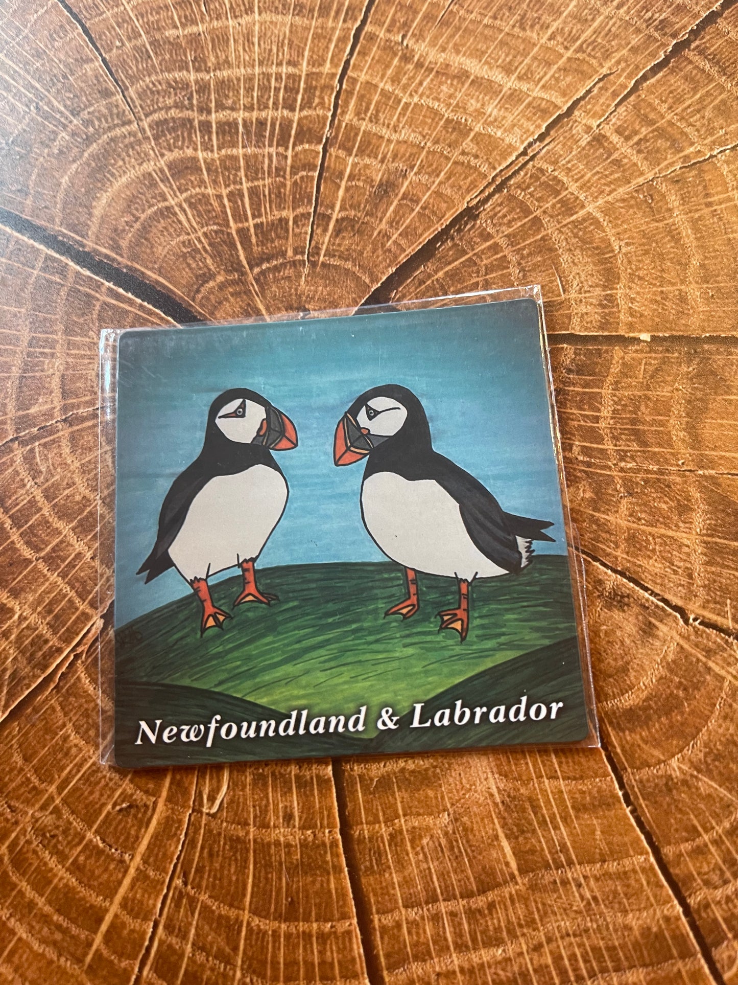 Mummer & Newfoundland Scenes Hand Drawn magnets - 16 Styles