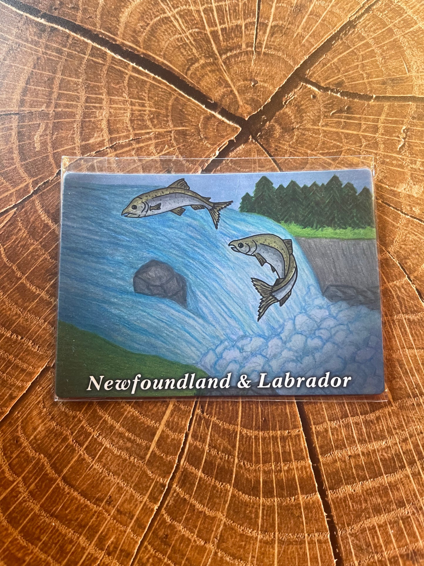 Mummer & Newfoundland Scenes Hand Drawn magnets - 16 Styles