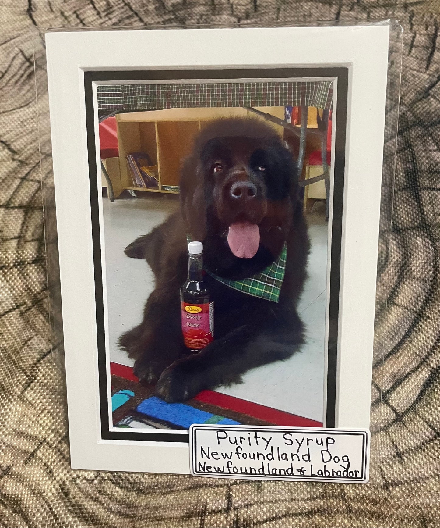 Scenes of Newfoundland - Purity Syrup Newfoundland Dog