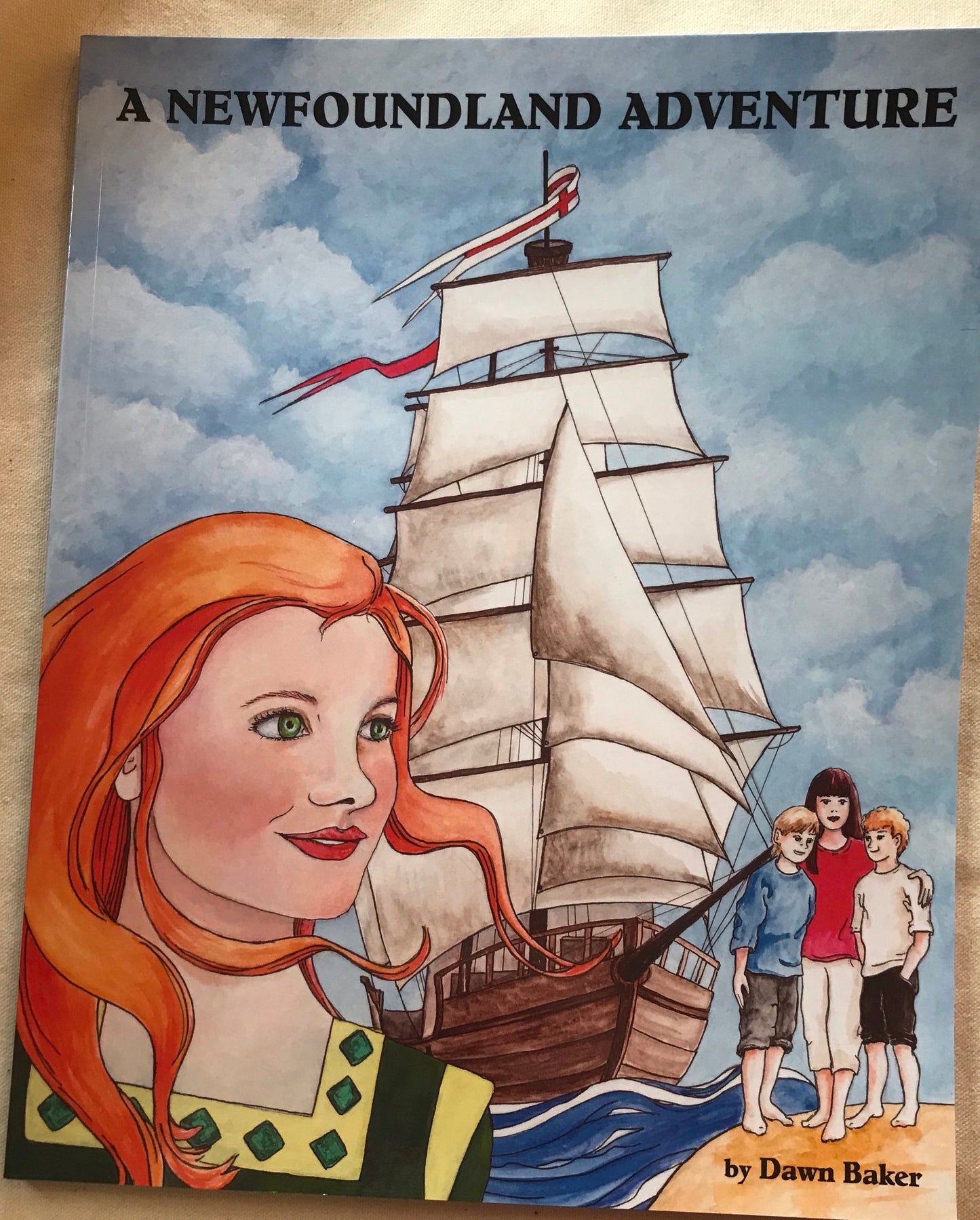 A Newfoundland Adventure Book