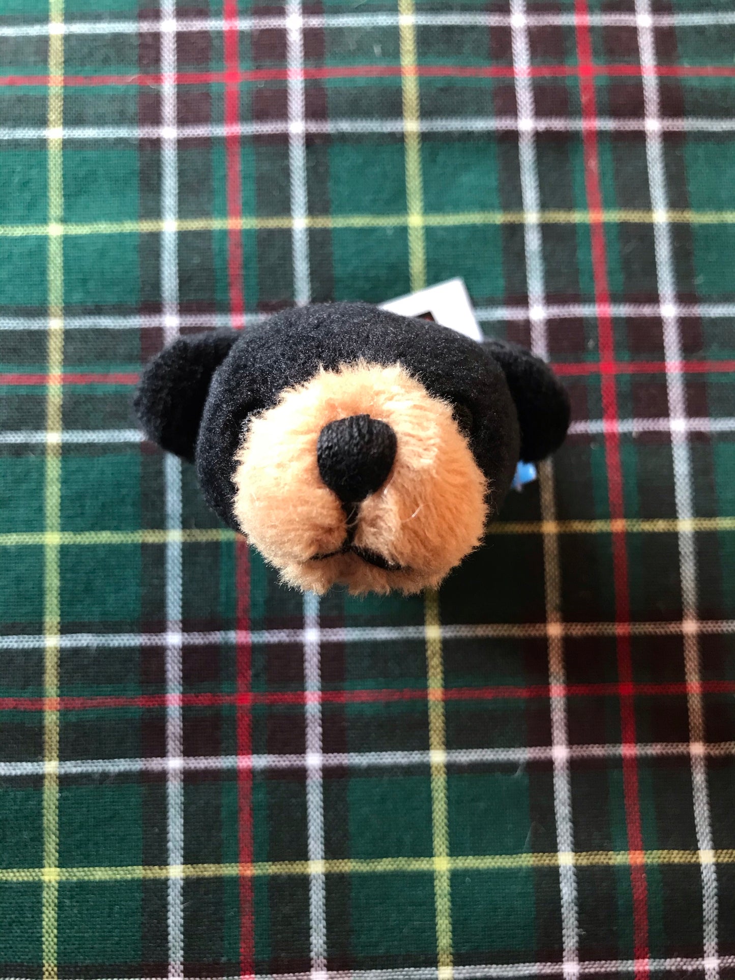 Stuffed animal magnets