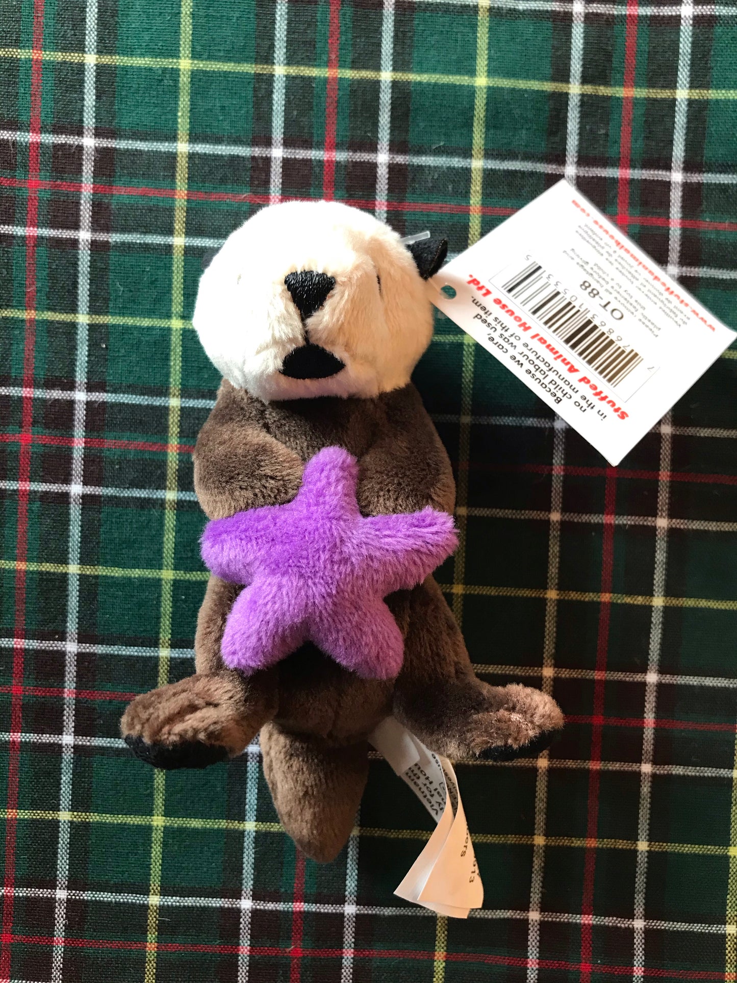 Stuffed animal magnets