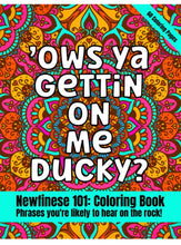 Load image into Gallery viewer, Newfinese 101 Coloring Book Newfie Sayings and Phrases Slang by Alicia Barrett
