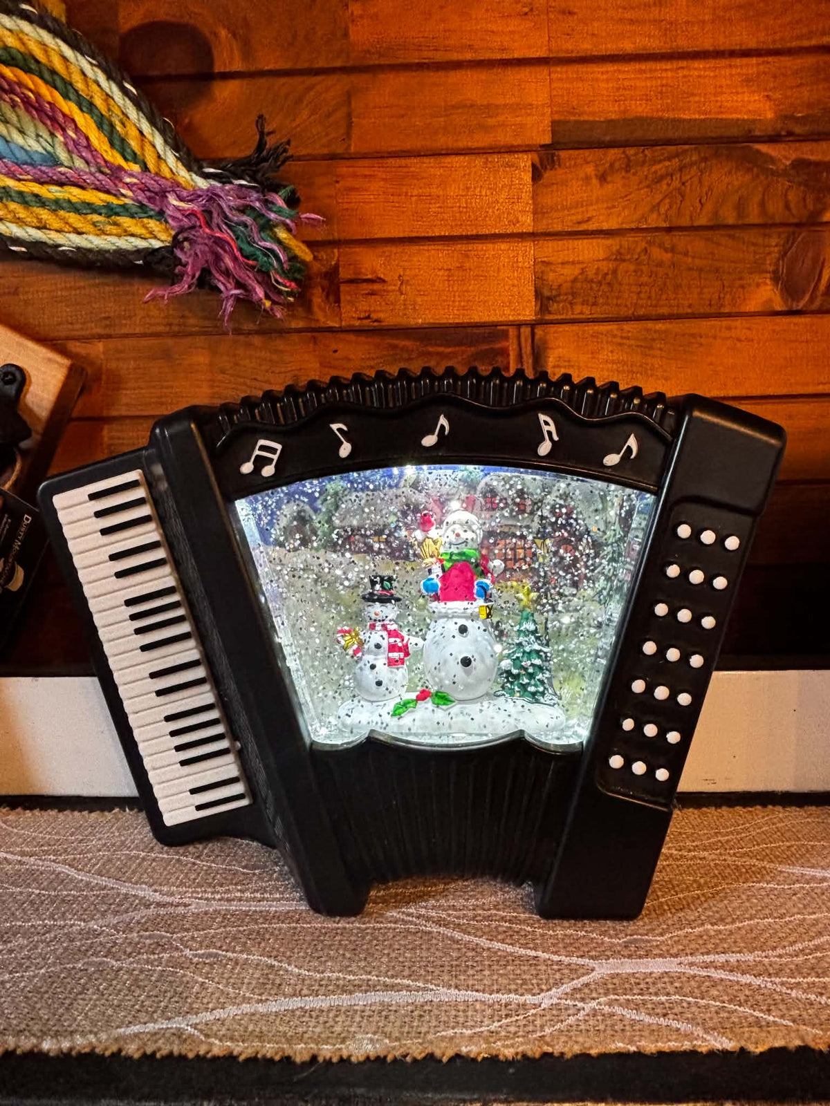 Newfoundland Accordion Snow Globe