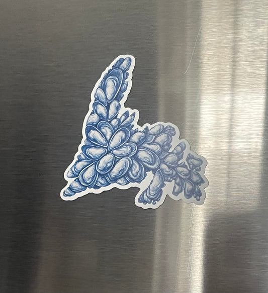 NEWFOUNDLAND Mussel Shell Magnet