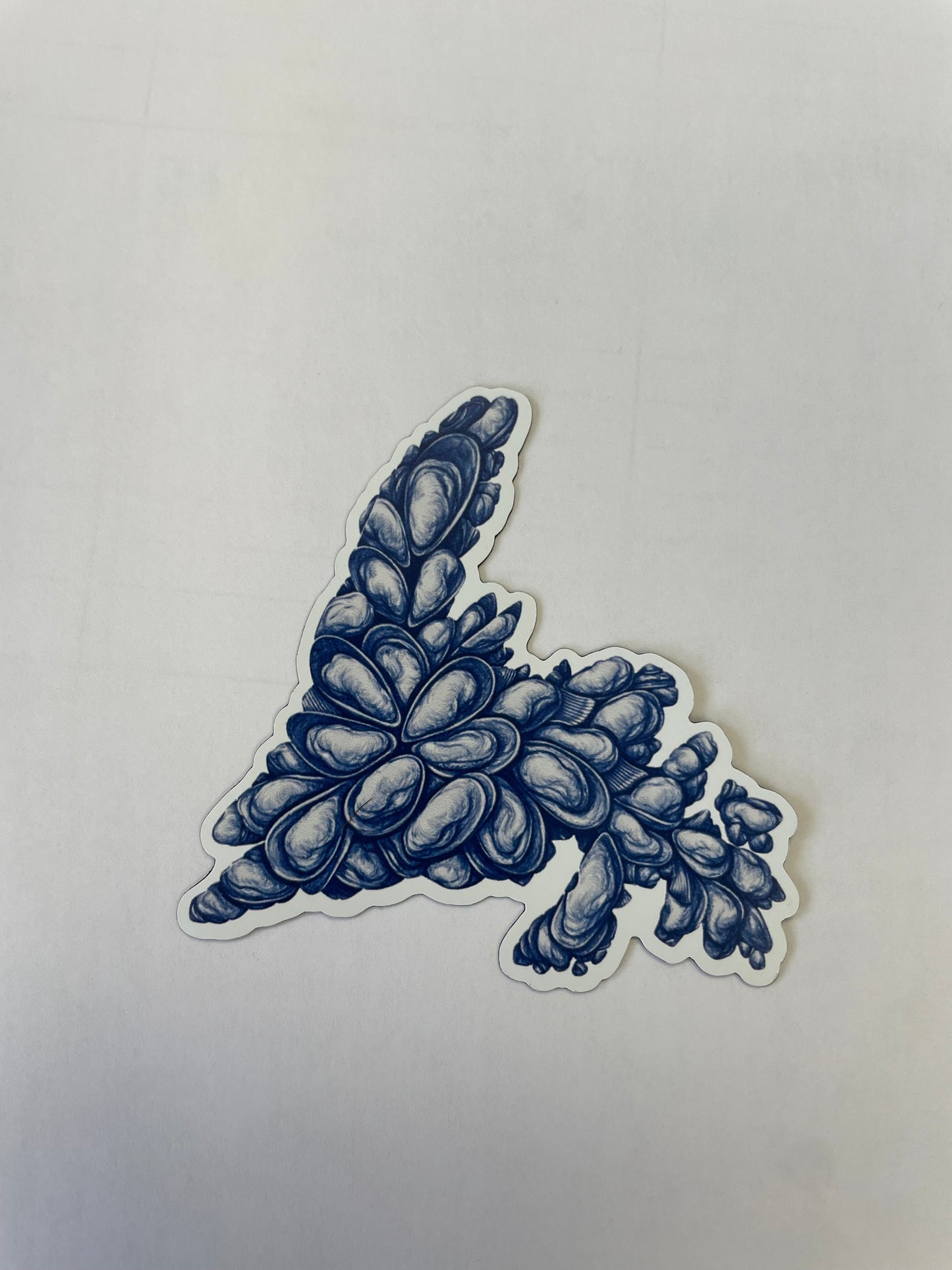 NEWFOUNDLAND Mussel Shell Sticker