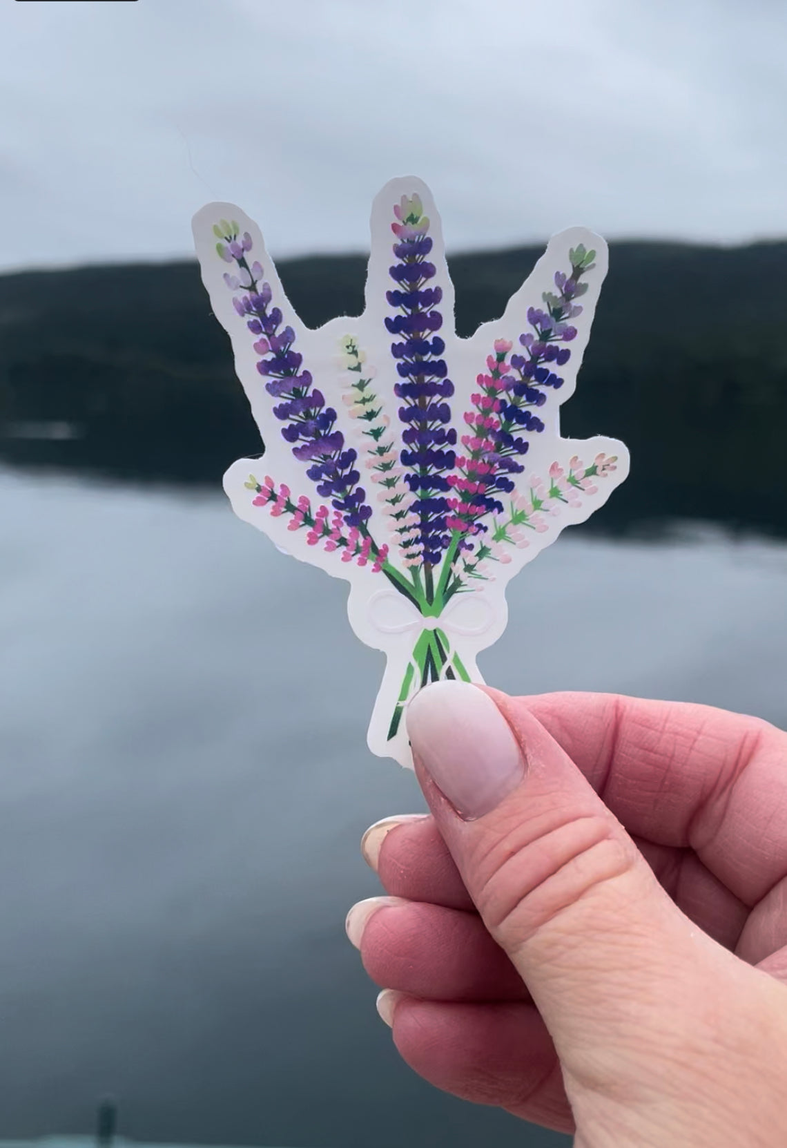 Clear Lupines Wildflower Bouquet Sticker