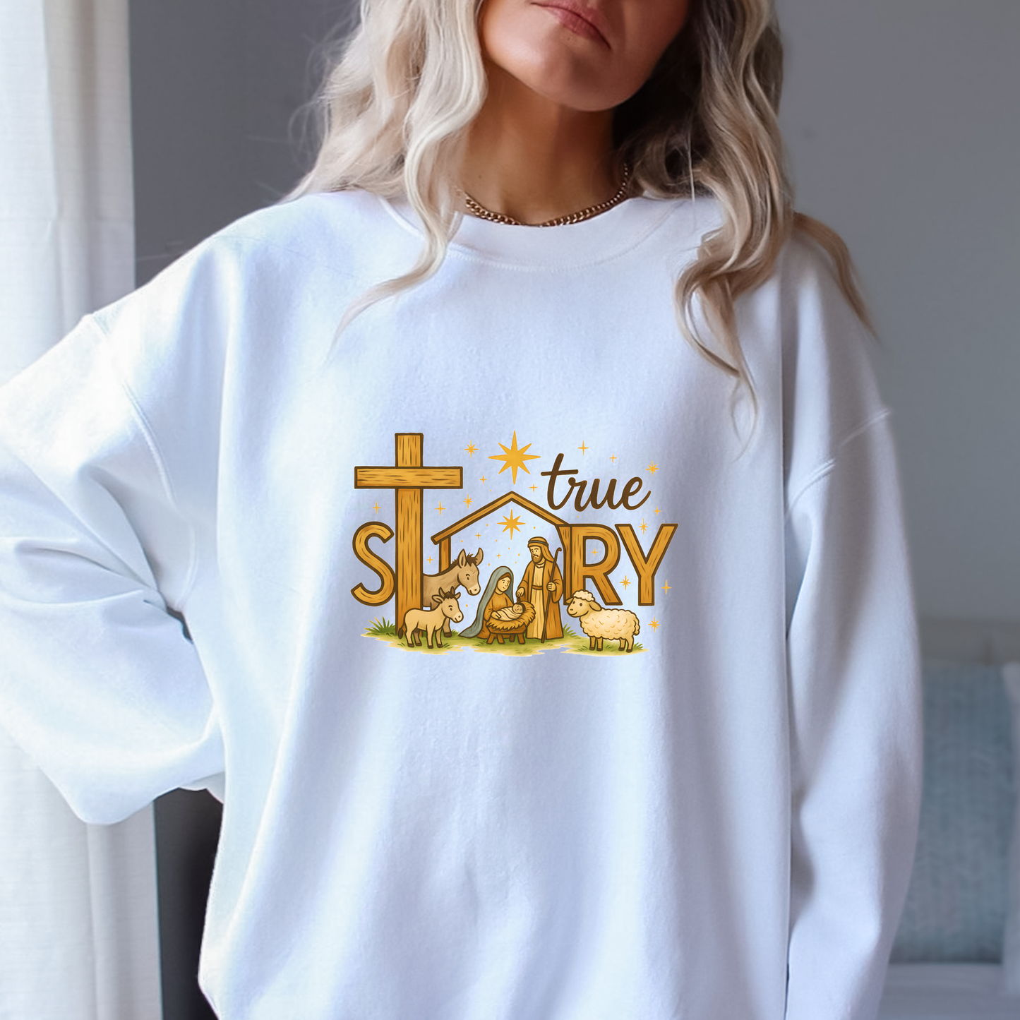 HOLIDAYS 2025 - Nativity True Story CM2521