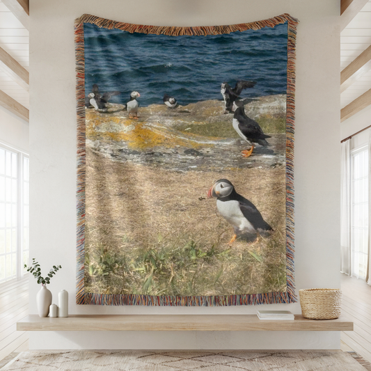 Puffins in Elliston Woven Throw Blanket - 2 Sizes