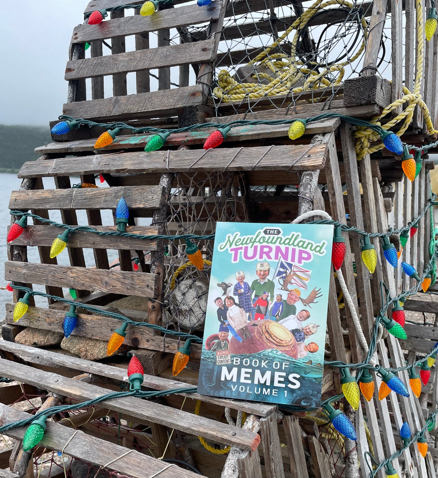 Newfoundland Turnip Book of Memes