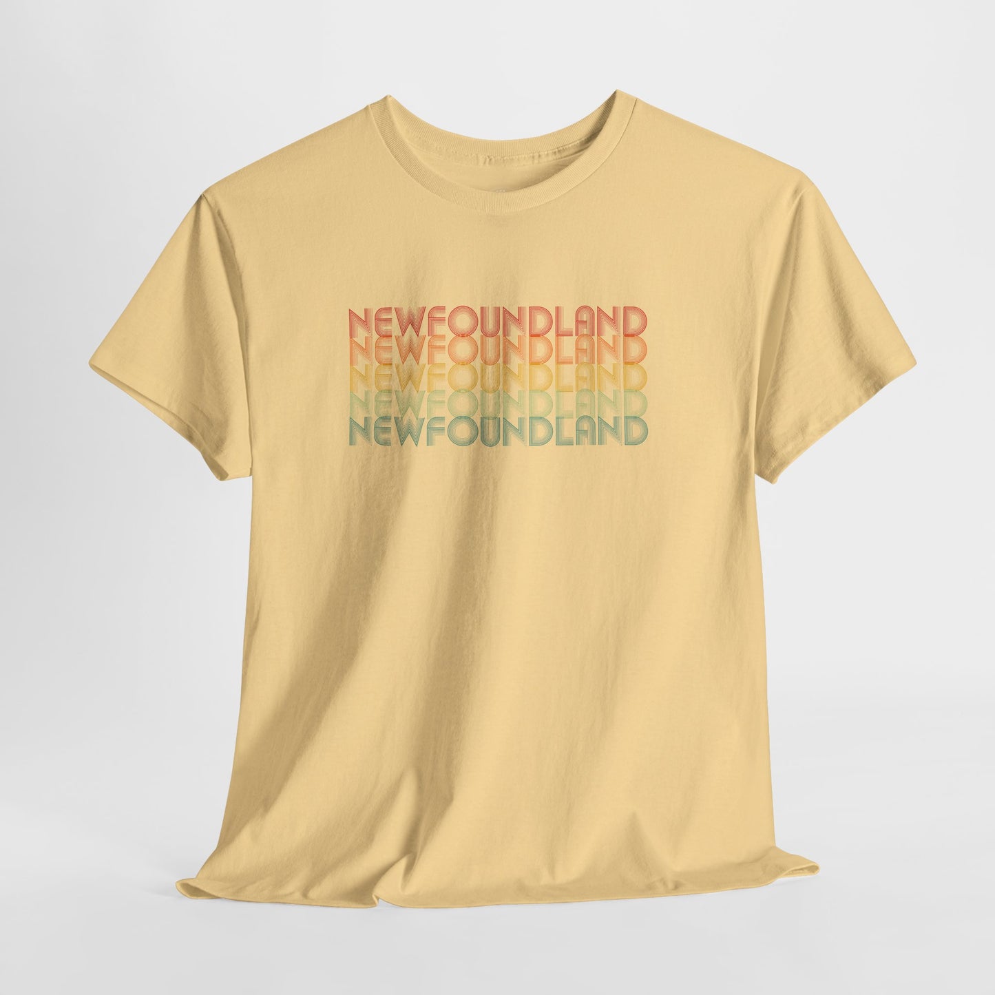 Retro Rainbow Newfoundland T-shirts