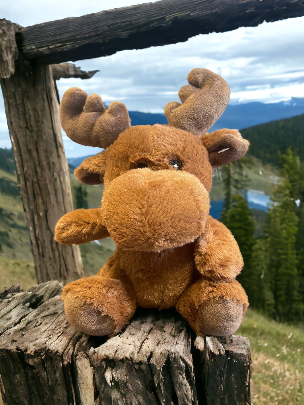 Soft & Fluffy Moose Stuffie