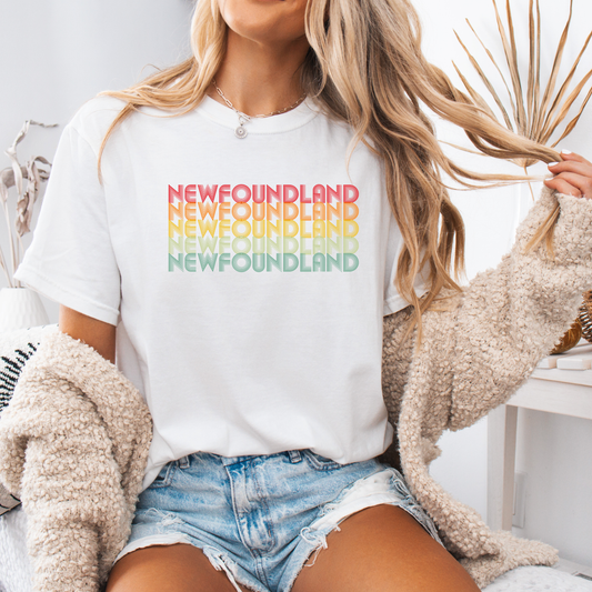 Retro Rainbow Newfoundland T-shirts
