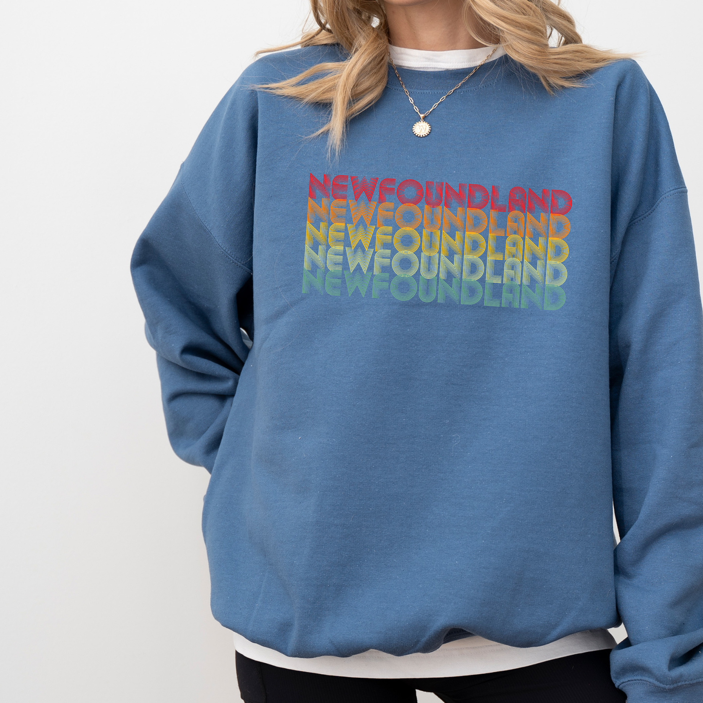 Retro Rainbow Newfoundland Sweatshirts