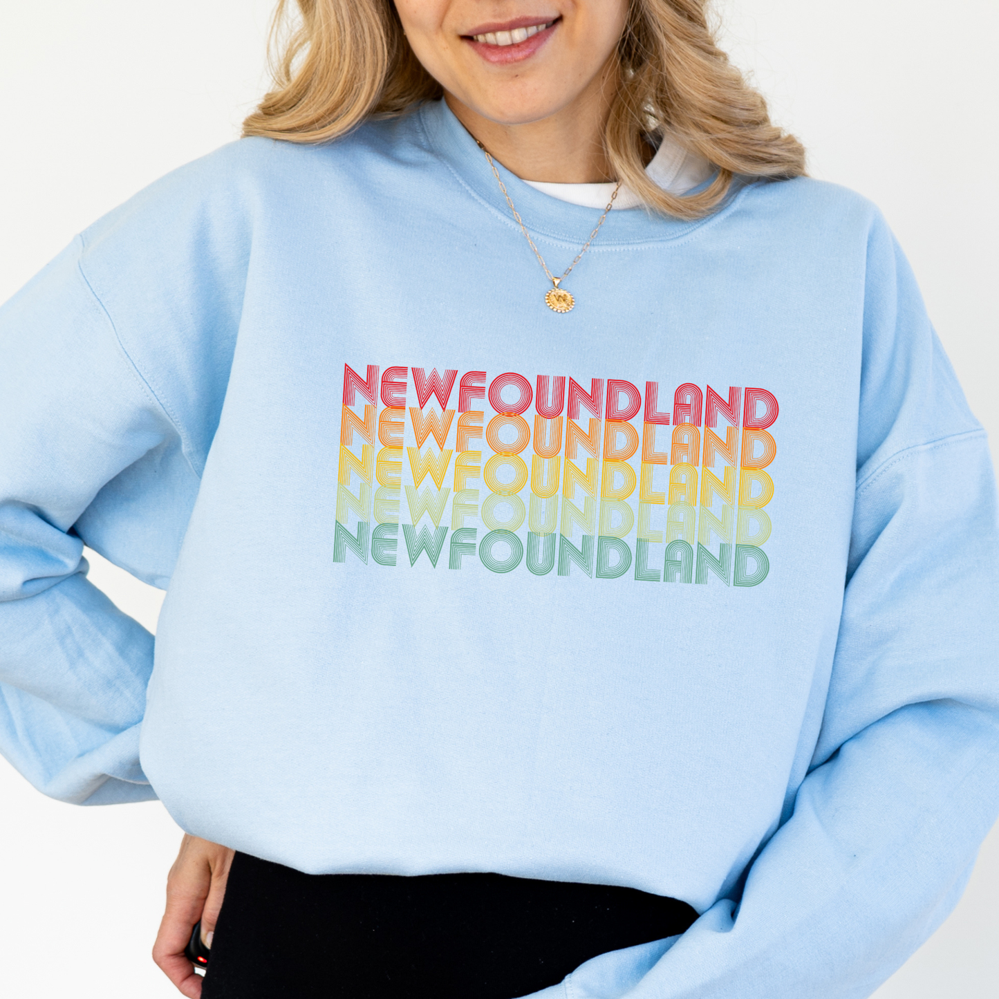 Retro Rainbow Newfoundland Sweatshirts