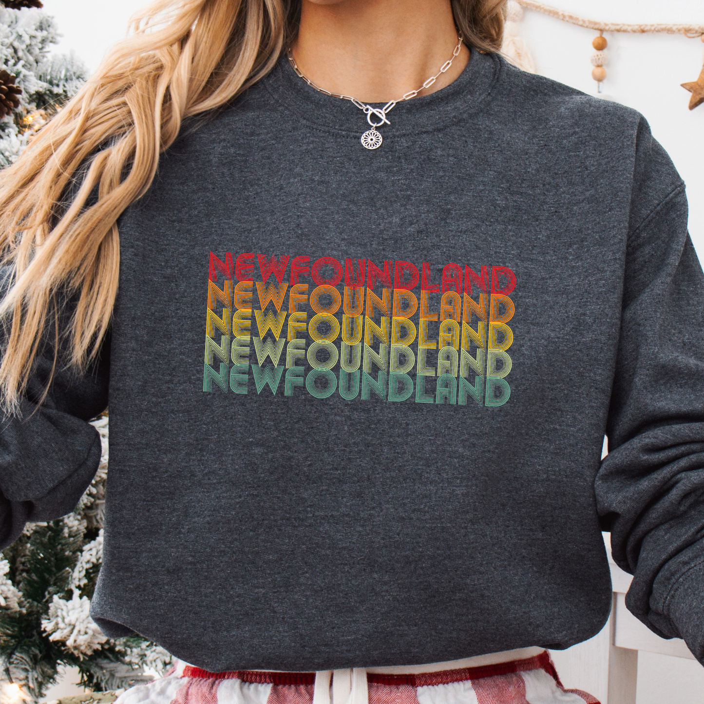 Retro Rainbow Newfoundland Sweatshirts