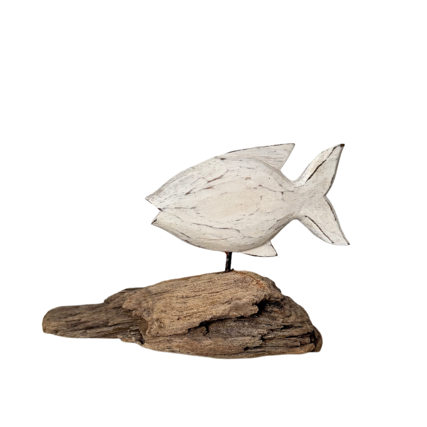 Driftwood Fish Decor - 3 Colors