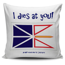 Load image into Gallery viewer, Newfoundland I dies at you pillow cover - PP.11567571