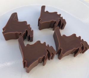 Silicone Newfoundland Map Ice Cube / Chocolate Tray