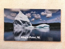 Load image into Gallery viewer, Newfoundland Magnets - 16 Styles