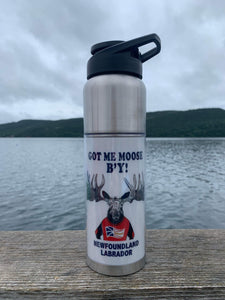Newfoundland Phrases Stainless Steel Water Bottle