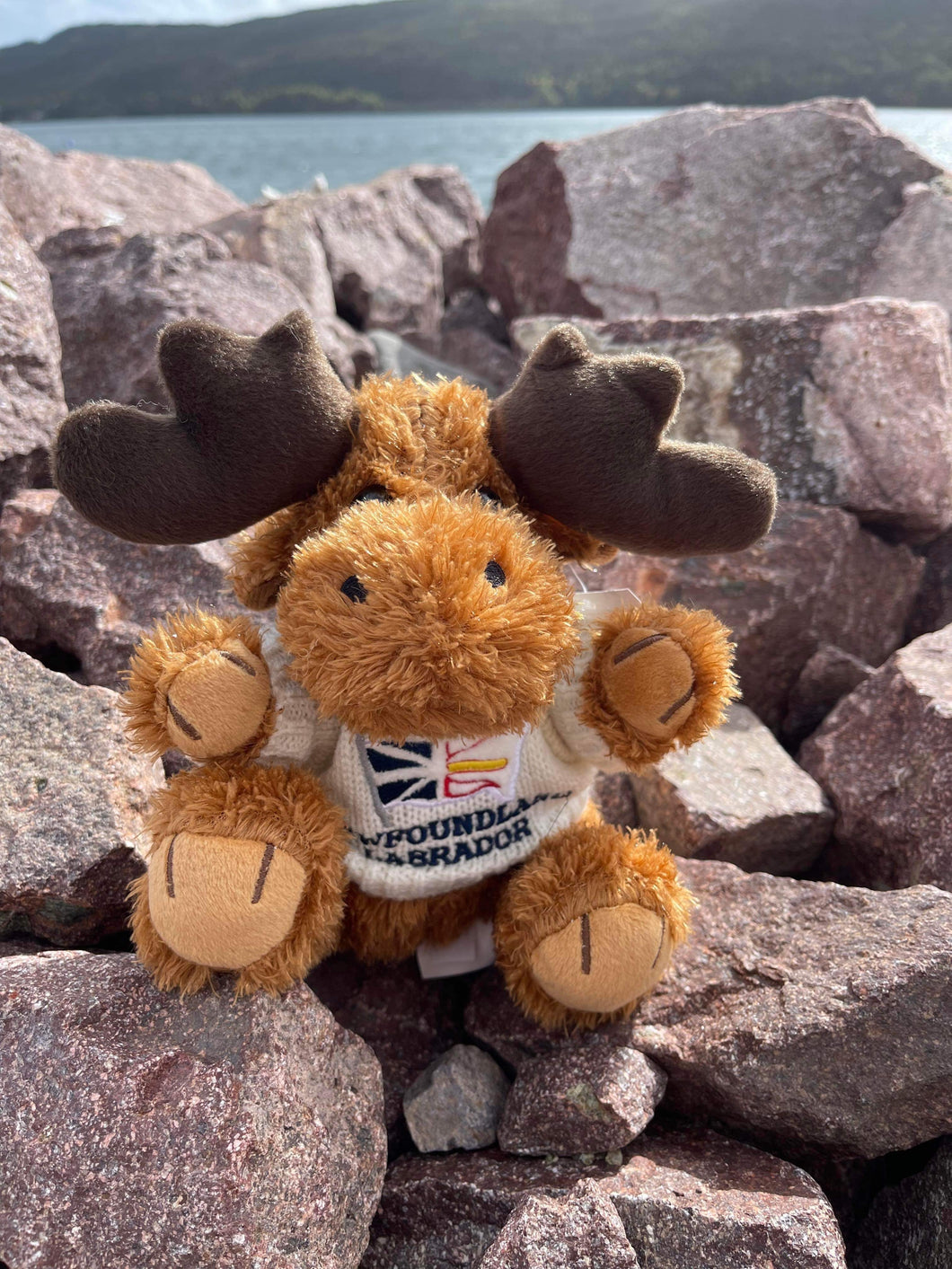Newfoundland Moose Stuffie