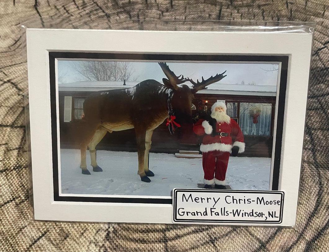 Scenes of Newfoundland - Merry Chris-Moose