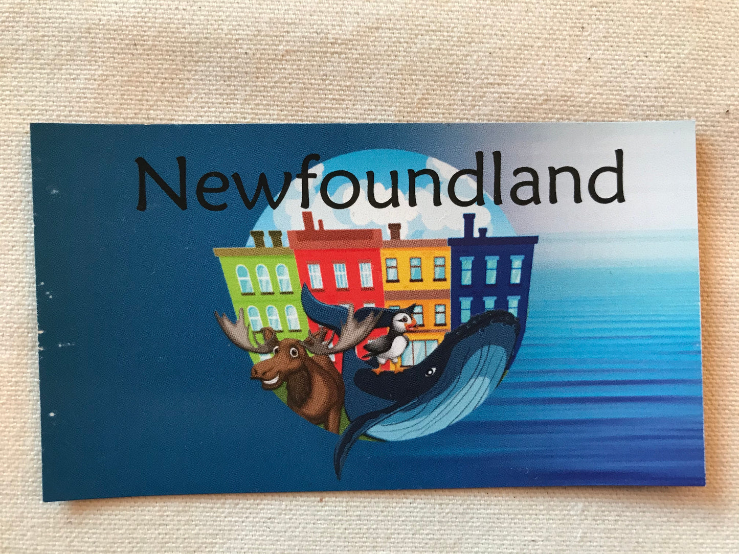 Newfoundland Magnets - 16 Styles