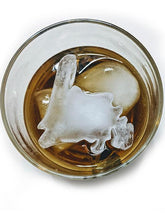 Load image into Gallery viewer, Silicone Newfoundland Map Ice Cube / Chocolate Tray