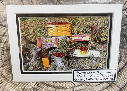 Scenes of Newfoundland - Partridgeberry Picking & Lunch, Grand Falls-Windsor, NL